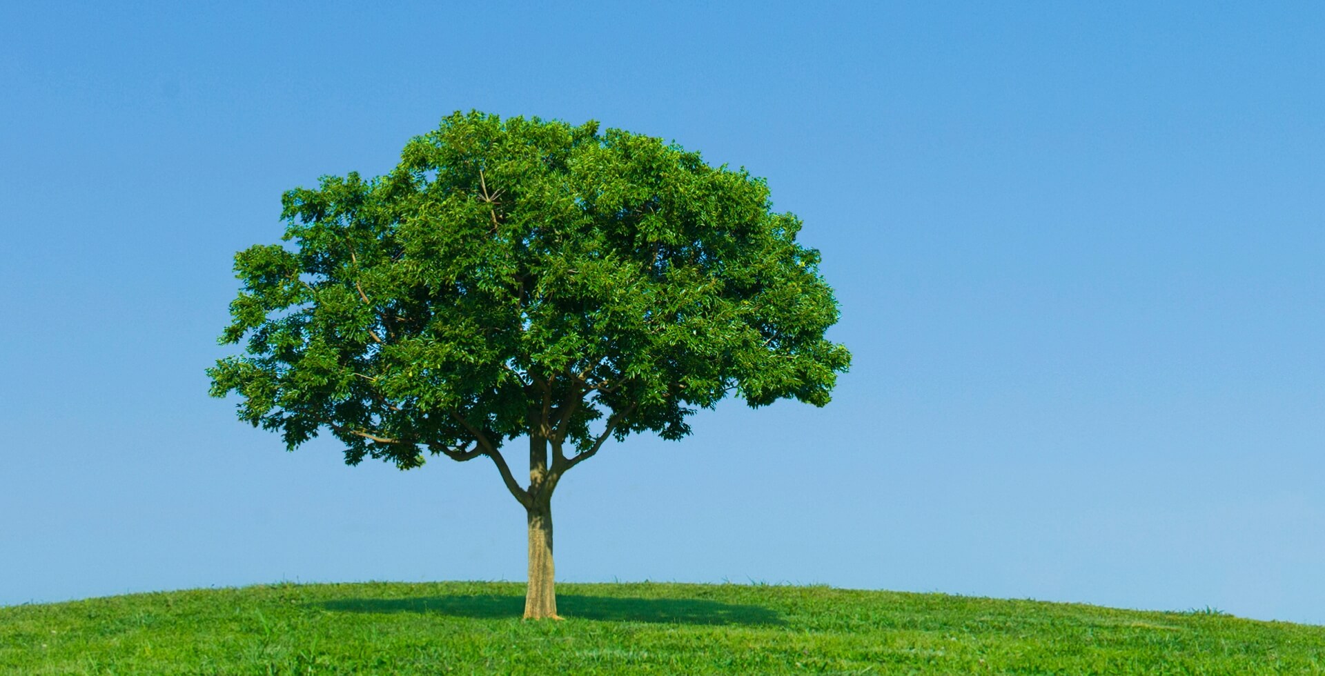 社会に対する取り組み
